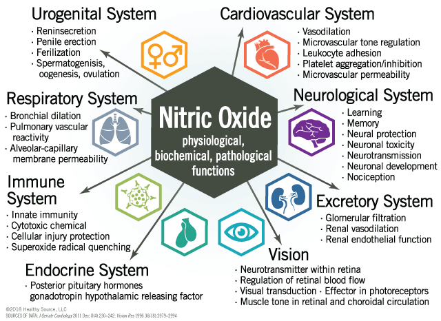Nitric Oxide benefits
